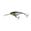 Blueback Herring