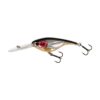 Steel Sardine