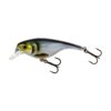 Blueback Herring
