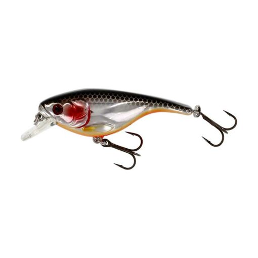 steel-sardine