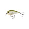 Clear Olive