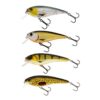 Crazy Bluegill