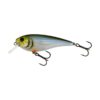 Blueback Herring