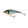 Blueback Herring
