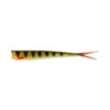 Striped Perch