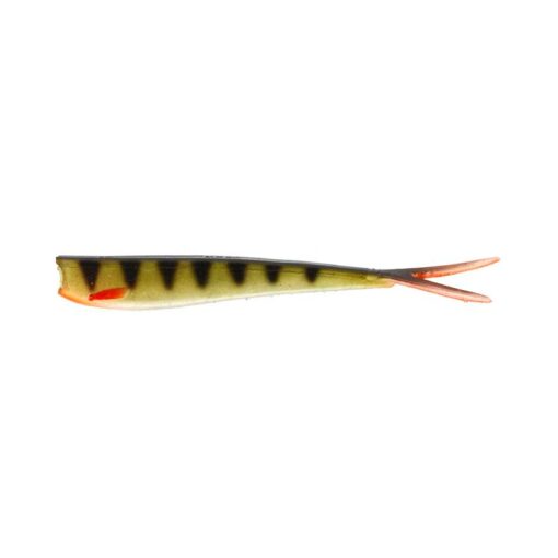 striped-perch