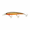 Khaki Brown Back Scales