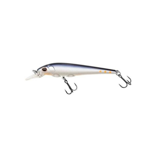 blue-roach