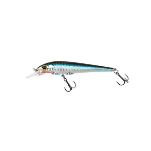 blue-shiner
