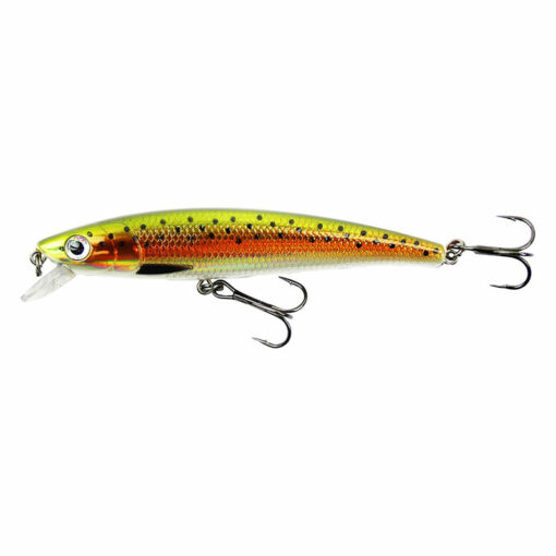 rainbow-trout