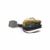 Bluegill