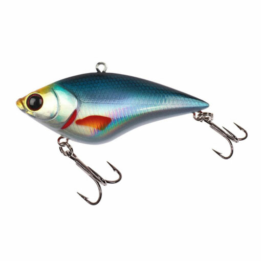 baitfish
