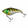 Striped Bass