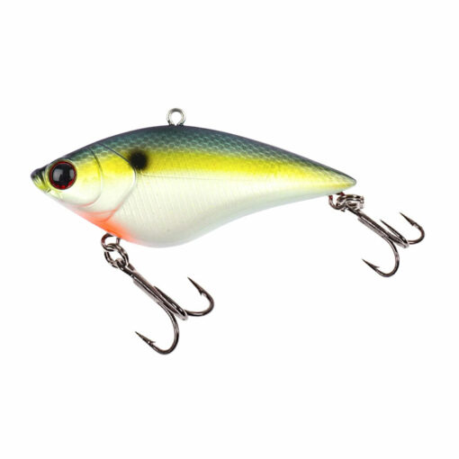 swimming-minnow