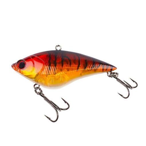 orange-tiger