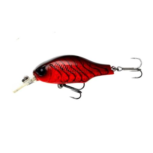 red-crayfish