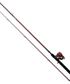 Daiwa Phantom combo