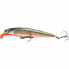 Arctic Char