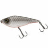 Silver Roach
