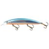 Blue Baitfish