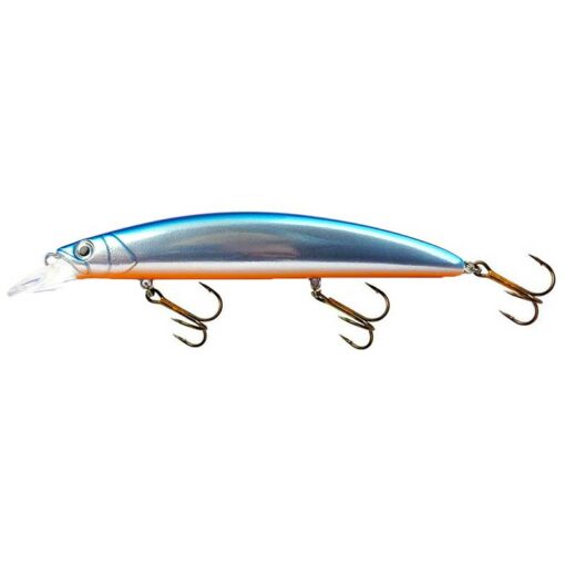 blue-baitfish