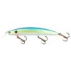 Swimming Minnow