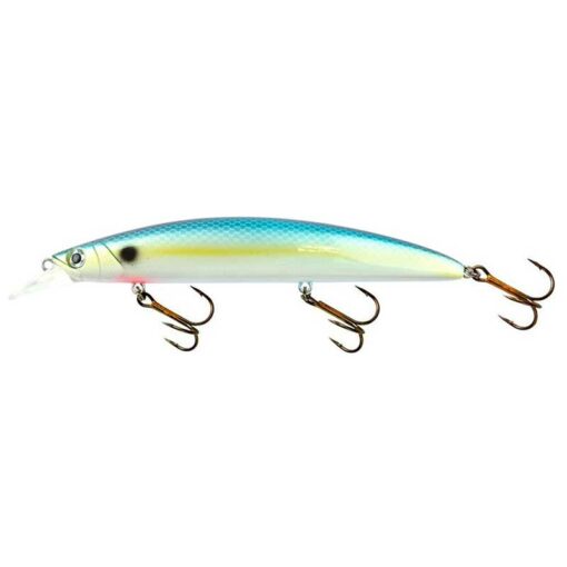 swimming-minnow