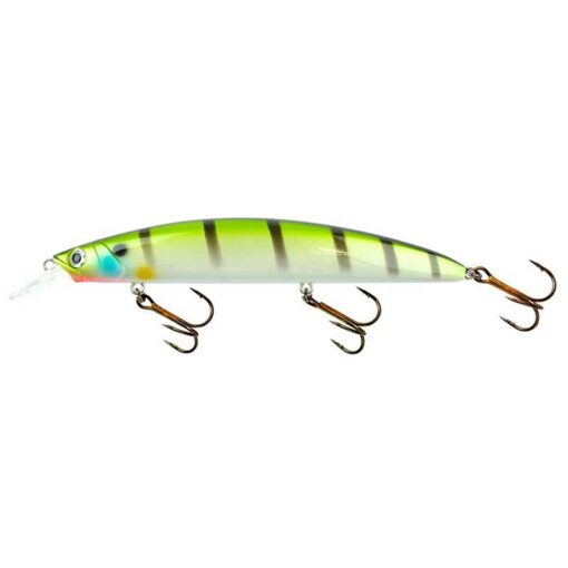 striped-bass