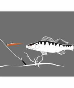 Dropshotfiske tackel