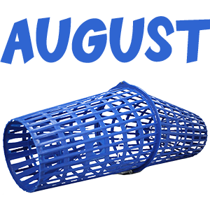 August