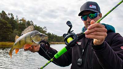 Fisketips fiska abborre