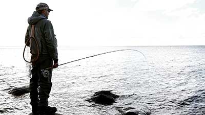 fiska-havsoring-fisketips