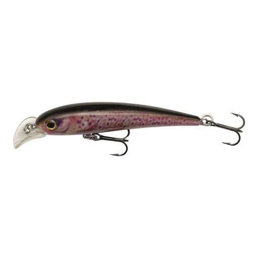 brown-trout