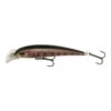 Smolt