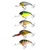 Steel Sardine
