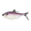 Purple Shad