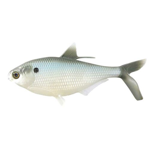 silver-shad