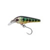 Brook Trout
