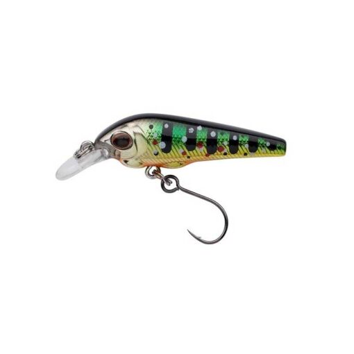 brook-trout
