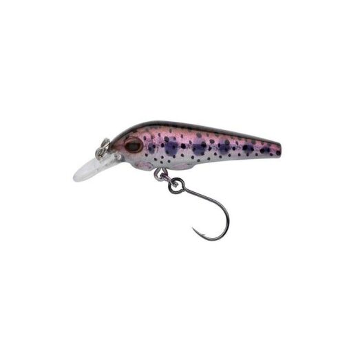 rainbow-trout