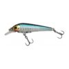 Blue Shiner