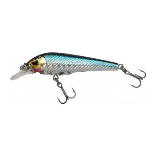 blue-shiner