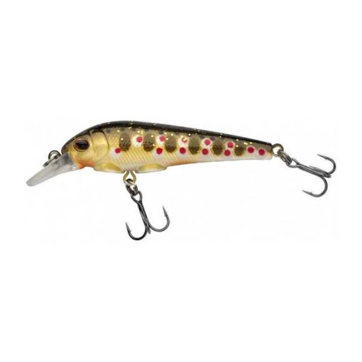 brown-trout