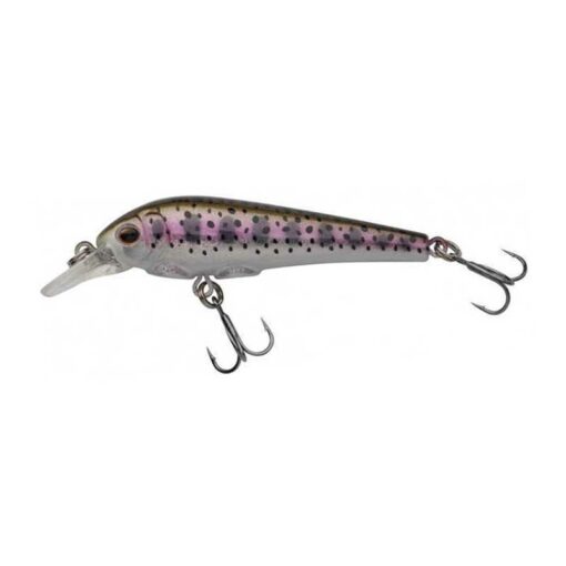 rainbow-trout