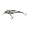 Silver Minnow