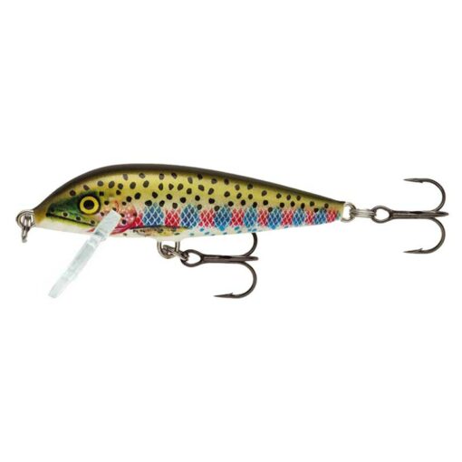 rainbow-trout