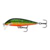 Brook Trout