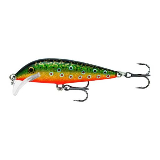 brook-trout