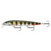 Live Hologram Perch
