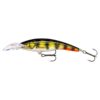 Live Hologram Perch